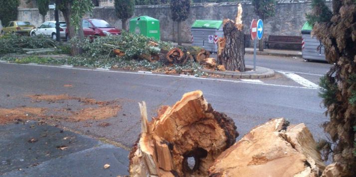 Imagen de archivo de un árbol trocedado tras ser derribado por el viento cerca el cementerio de Soria.