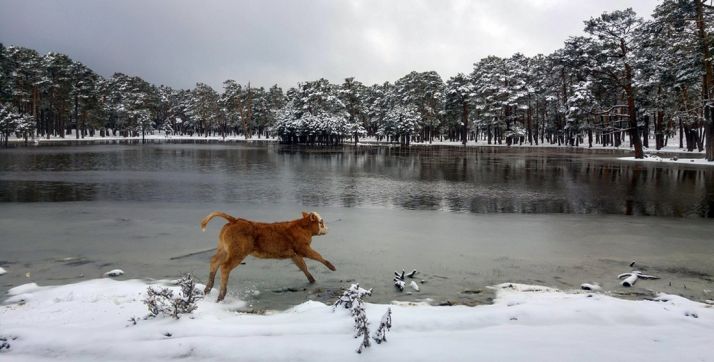 Paisaje de Duruelo en una de las nevadas de este marzo. /AS