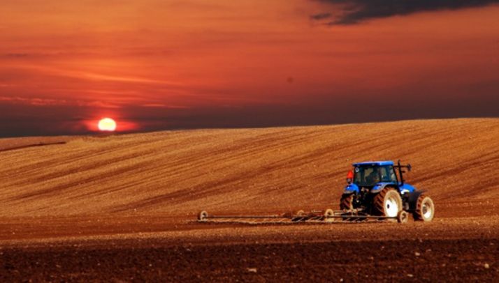 El Gobierno reduce el IRPF a productores agrícolas y ganaderos afectados por la sequía