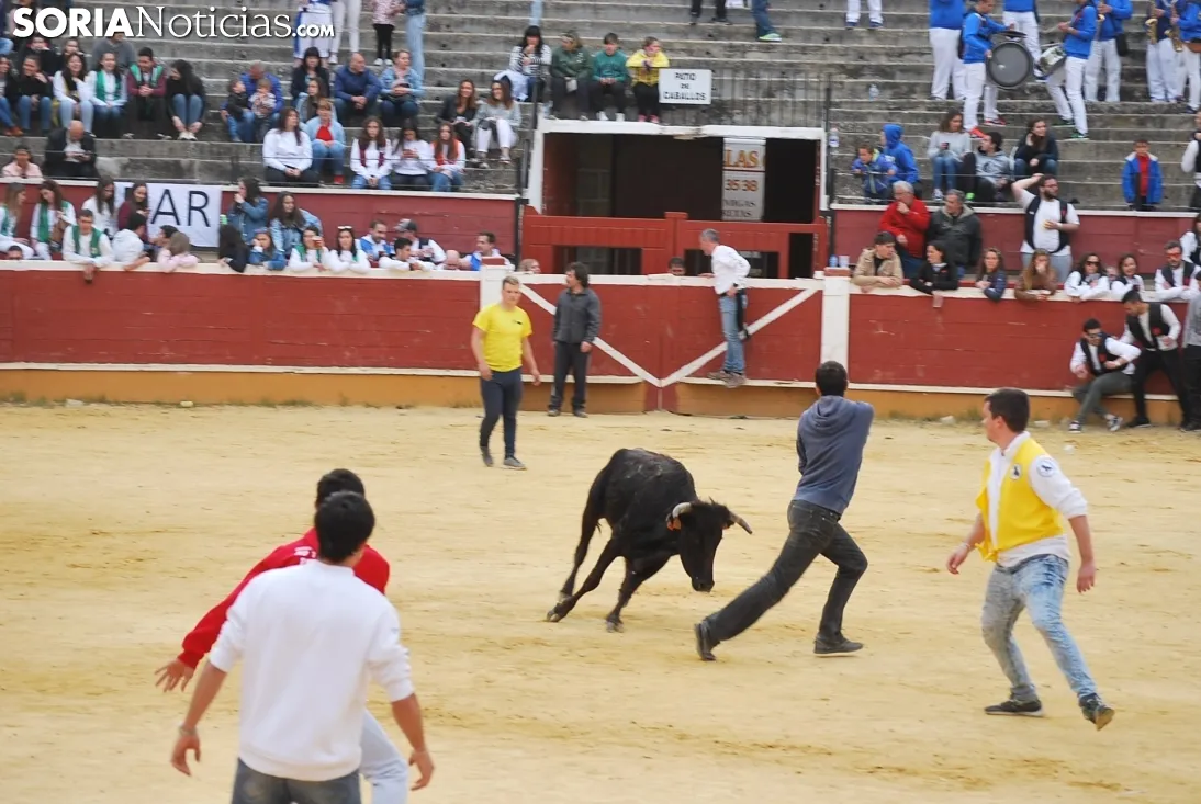 Una imagen de esta tarde de sábado en el coso de San Benito. /SN