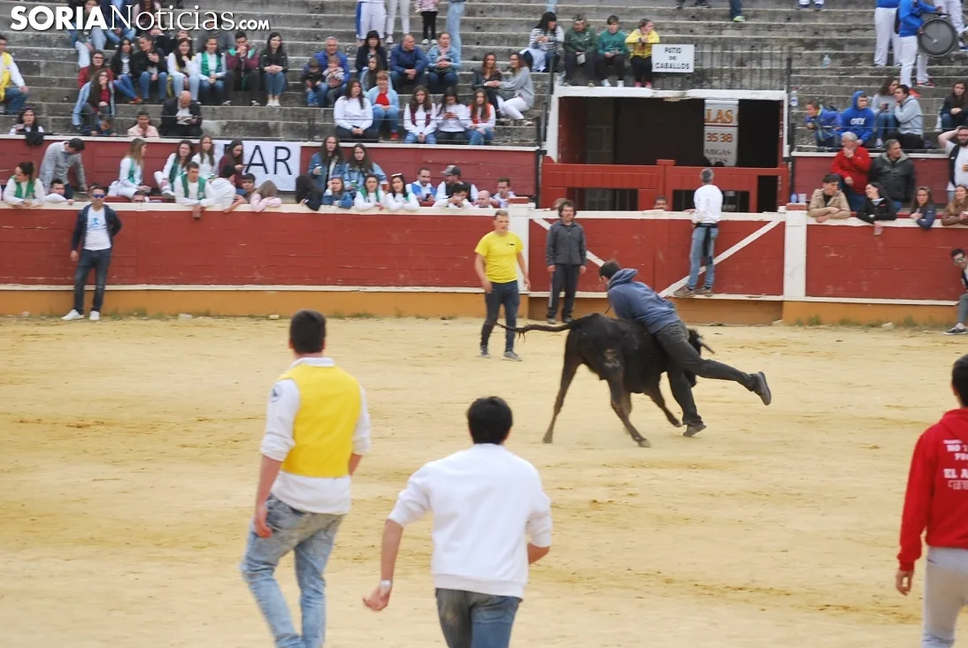 Una imagen de la tarde de este sábado en el coso de San Benito. /SN