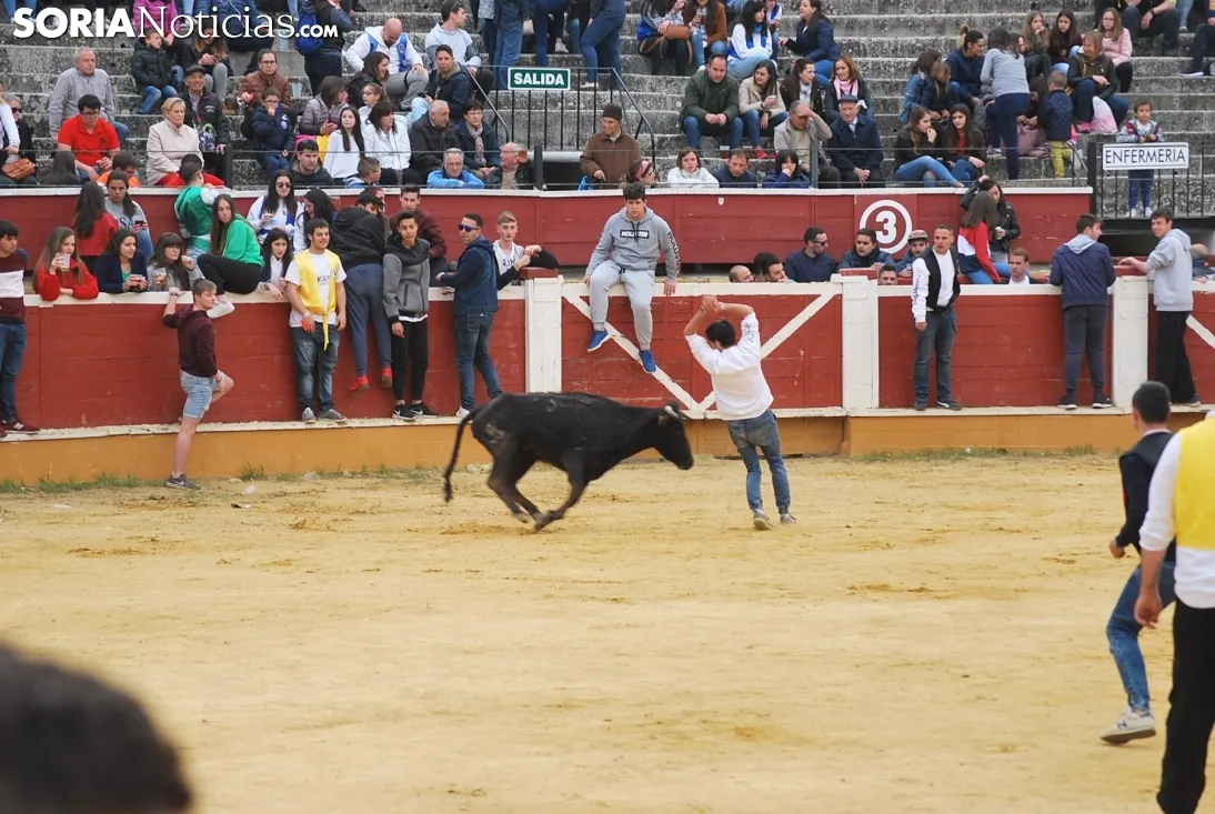 Una imagen de la tarde de este sábado en el coso de San Benito. /SN