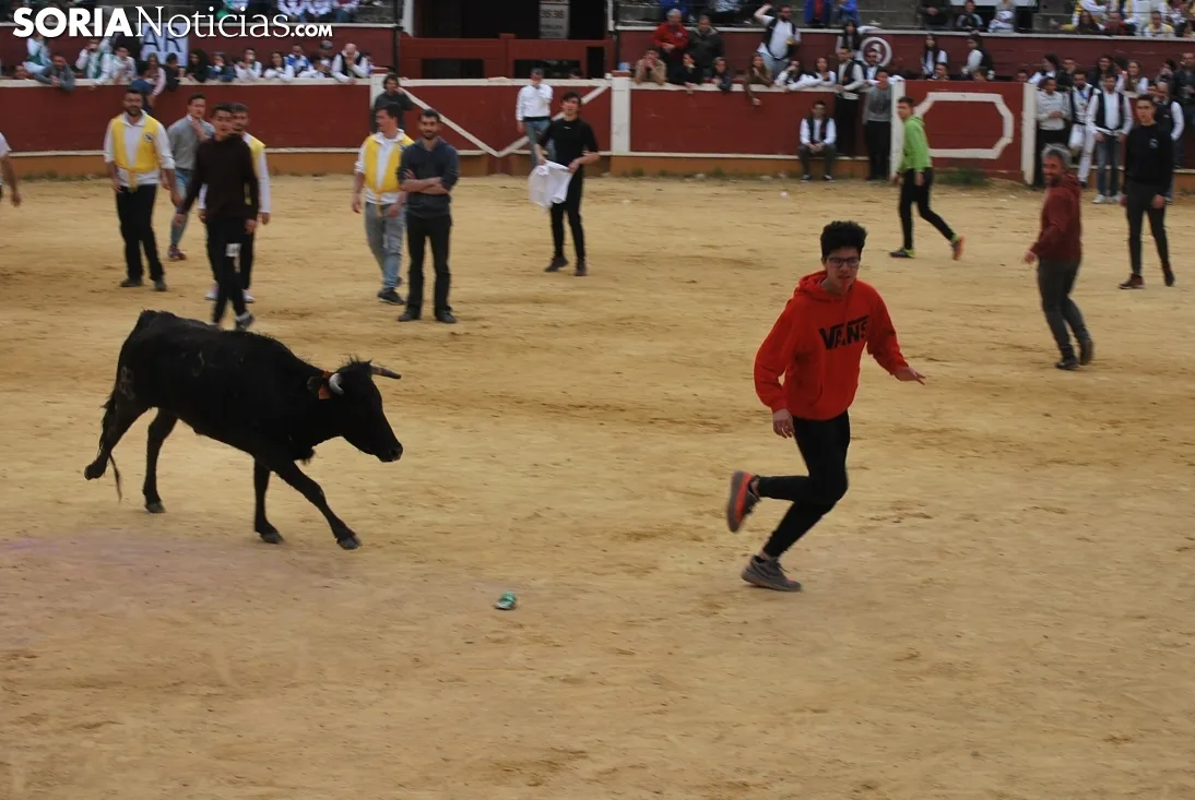 Una imagen de la tarde de este sábado en el coso de San Benito. /SN