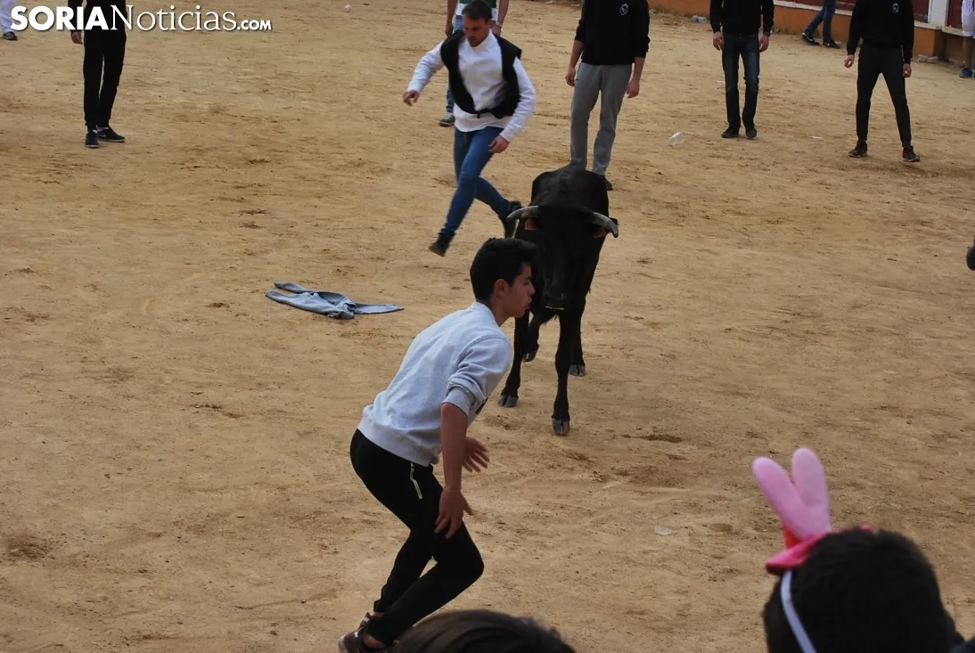 Una imagen de la tarde de este sábado en el coso de San Benito. /SN