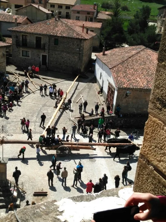 Foto 11 - Galer&iacute;a: la Pingada del Mayo en Molinos