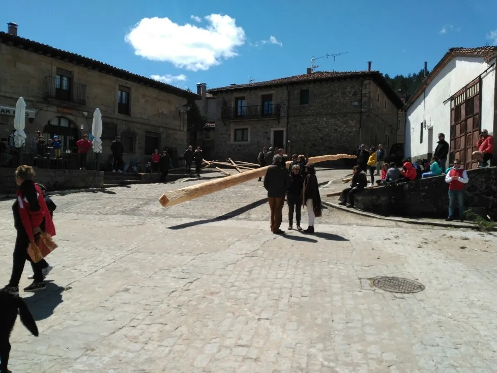 Foto 10 - Galer&iacute;a: la Pingada del Mayo en Molinos