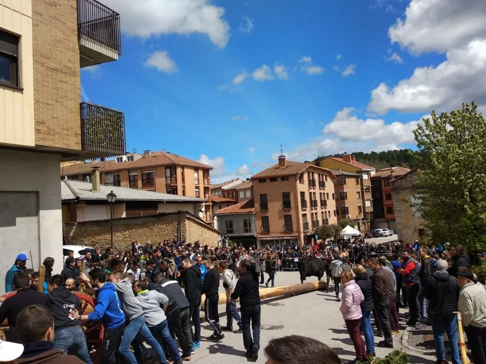 Foto 11 - Galer&iacute;a: la Pingada del Mayo en San Leonardo