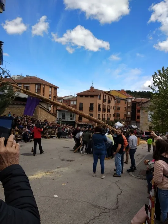 Foto 9 - Galer&iacute;a: la Pingada del Mayo en San Leonardo