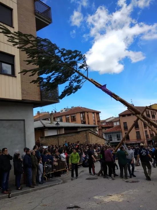 Foto 8 - Galer&iacute;a: la Pingada del Mayo en San Leonardo