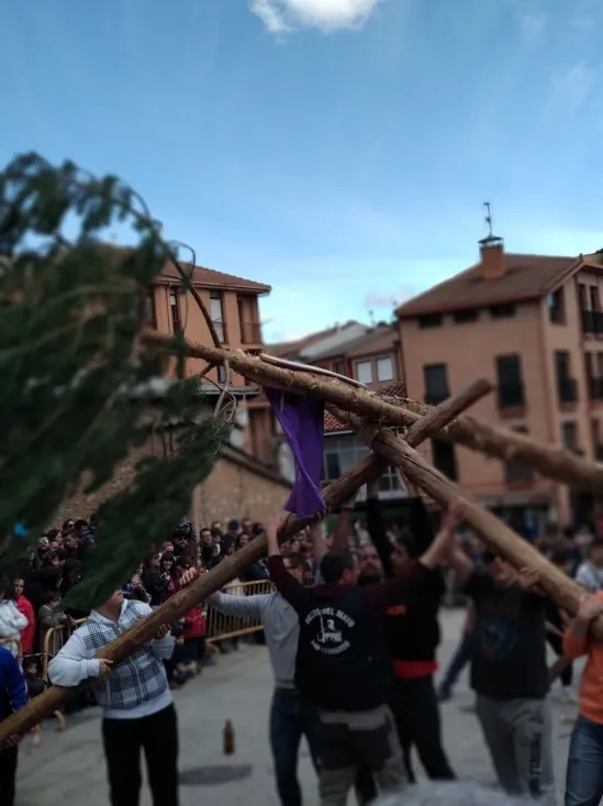 Foto 7 - Galer&iacute;a: la Pingada del Mayo en San Leonardo