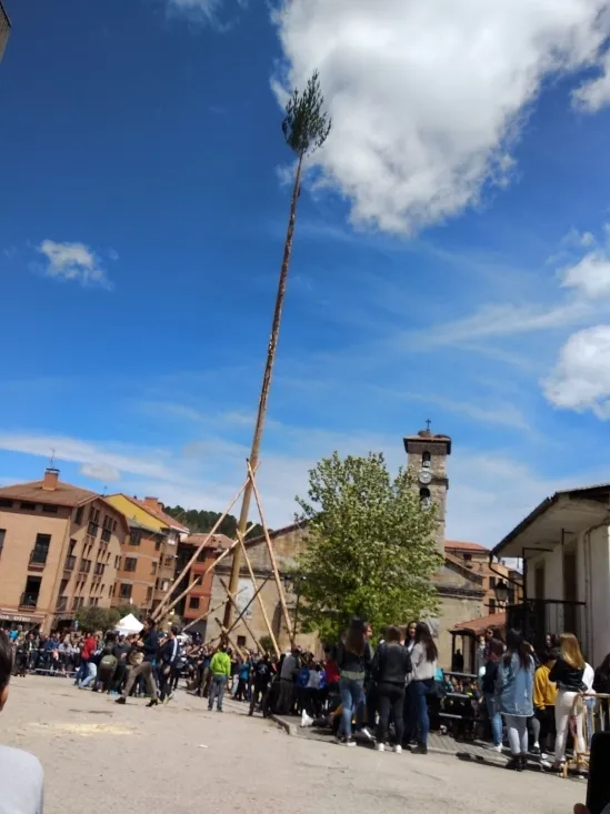 Foto 2 - Galer&iacute;a: la Pingada del Mayo en San Leonardo