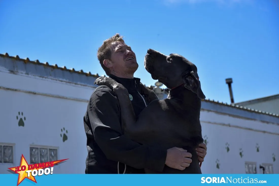 Foto 7 - Como en tu casa: Vocaci&oacute;n por los animales en Soria