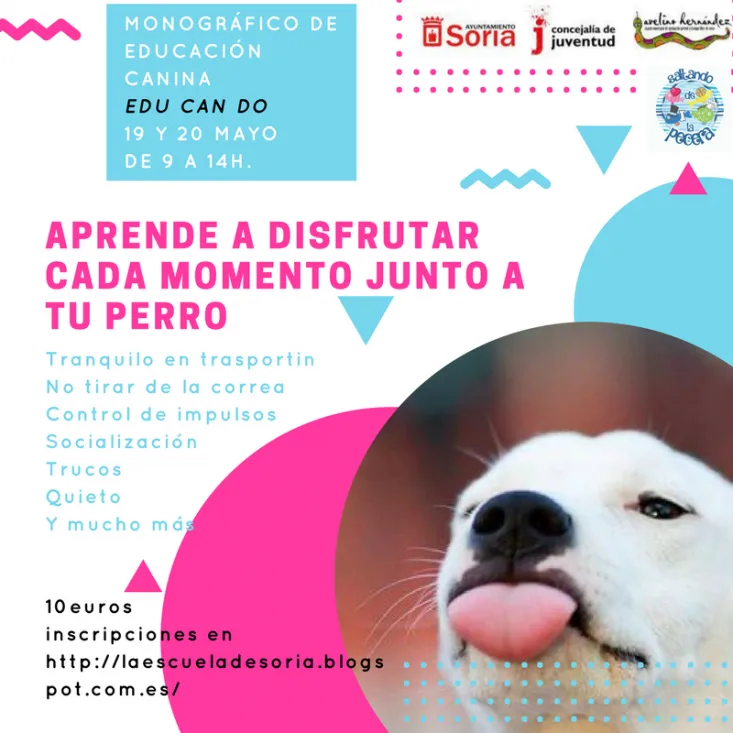 Cartel anunciador del curso.