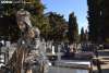 Foto 1 - Última llamada para 500 tumbas en el cementerio de Soria