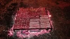 Pingada del Mayo chopo en Quintanilla de Tres Barrios.