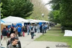 Feria de Muestras. ViveAlmazán.