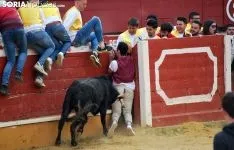 Una de las imágenes de esta tarde en el coso de San Benito. /SN