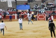 Una de las imágenes de esta tarde en el coso de San Benito. /SN