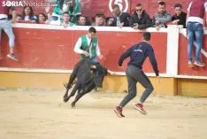 Una de las imágenes de esta tarde en el coso de San Benito. /SN