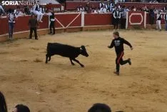 Una de las imágenes de esta tarde en el coso de San Benito. /SN
