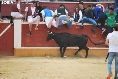 Una de las imágenes de esta tarde en el coso de San Benito. /SN