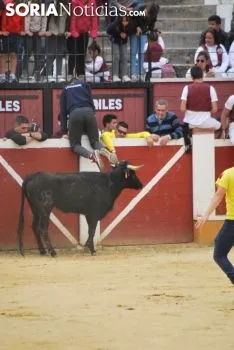 Una de las imágenes de esta tarde en el coso de San Benito. /SN