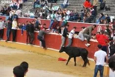 Una de las imágenes de esta tarde en el coso de San Benito. /SN