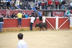 Una de las imágenes de esta tarde en el coso de San Benito. /SN