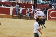 Una imagen de la tarde de este sábado en el coso de San Benito. /SN