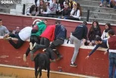 Una imagen de esta tarde de sábado en el coso de San Benito. /SN
