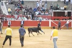Una imagen de esta tarde de sábado en el coso de San Benito. /SN