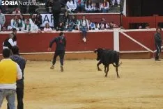 Una imagen de esta tarde de sábado en el coso de San Benito. /SN