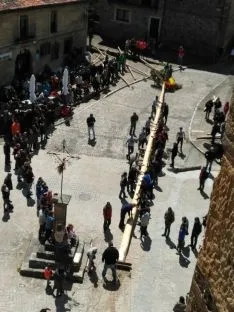 Foto 14 - Galer&iacute;a: la Pingada del Mayo en Molinos