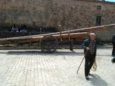 Foto 3 - Galer&iacute;a: la Pingada del Mayo en Molinos