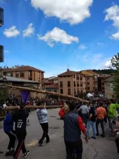 Foto 12 - Galer&iacute;a: la Pingada del Mayo en San Leonardo
