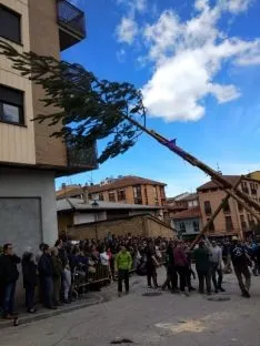 Foto 8 - Galer&iacute;a: la Pingada del Mayo en San Leonardo