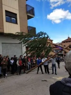 Foto 6 - Galer&iacute;a: la Pingada del Mayo en San Leonardo