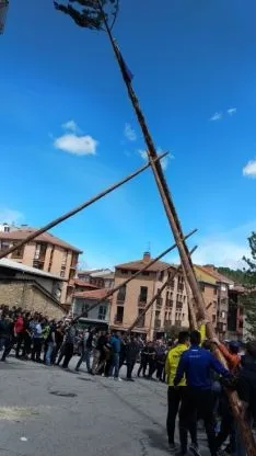 Foto 3 - Galer&iacute;a: la Pingada del Mayo en San Leonardo