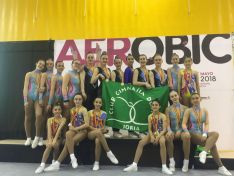 Un grupo de gimnastas sorianas durante el campeonato. /CGD