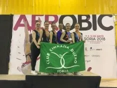 Un grupo de gimnastas sorianas durante el campeonato. /CGD