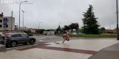 Golpe en la salida al Polígono. SN