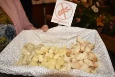 Foto 338 - Si fuiste al Catap&aacute;n 2018, sales en esta galer&iacute;a