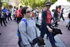 Imágenes de la 30ª Marcha de Asamis. /EM