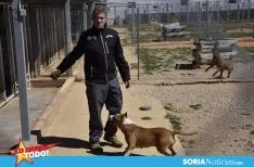 Foto 9 - Como en tu casa: Vocaci&oacute;n por los animales en Soria