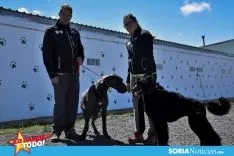 Foto 6 - Como en tu casa: Vocaci&oacute;n por los animales en Soria
