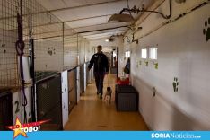 Foto 5 - Como en tu casa: Vocación por los animales en Soria