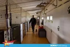 Foto 5 - Como en tu casa: Vocaci&oacute;n por los animales en Soria