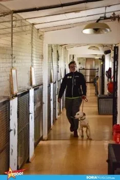 Foto 4 - Como en tu casa: Vocaci&oacute;n por los animales en Soria