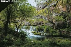 Río Talegones a su paso por la pequeña localidad de Lumías. Carmen de Vicente. 