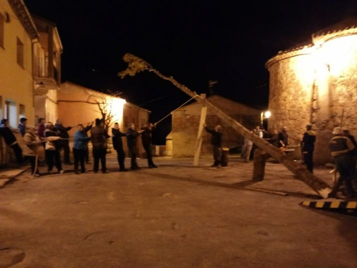 Pingada del Mayo chopo en Quintanilla de Tres Barrios.